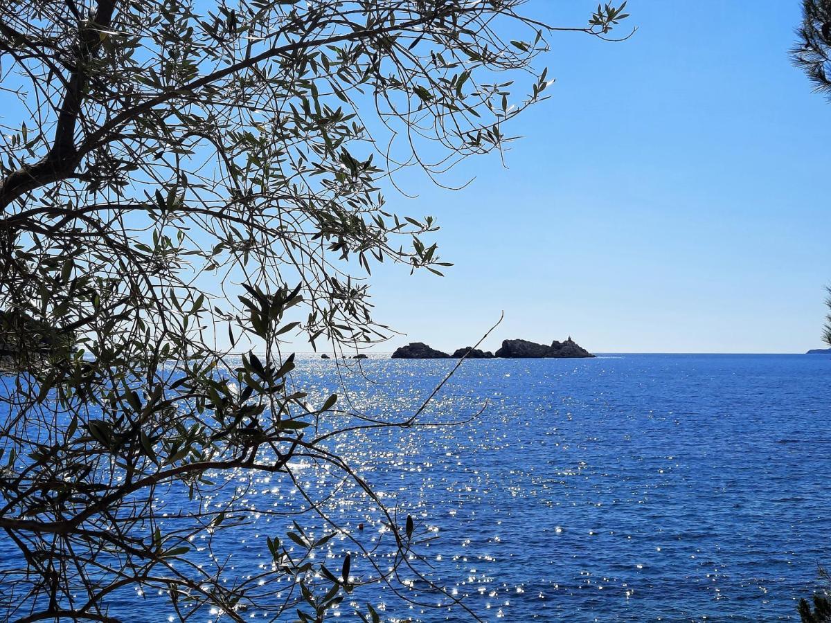 Blue Promenade Apartments Dubrovník Exteriér fotografie